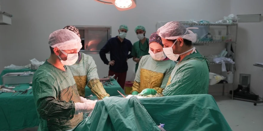 2 Kilogramı Aşan Dev Tümör Başarıyla Çıkarıldı