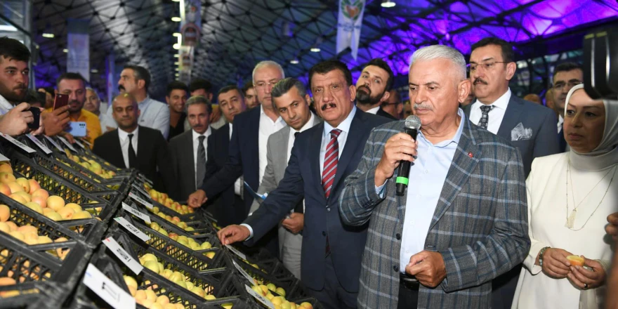 200 Üreticinin Katılımıyla Yaş Kayısı Yarışması Yapıldı