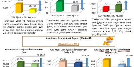 2025 yılı Ağustos ayı Kuru Kayısı Dış Ticaret Raporu Yayımlandı