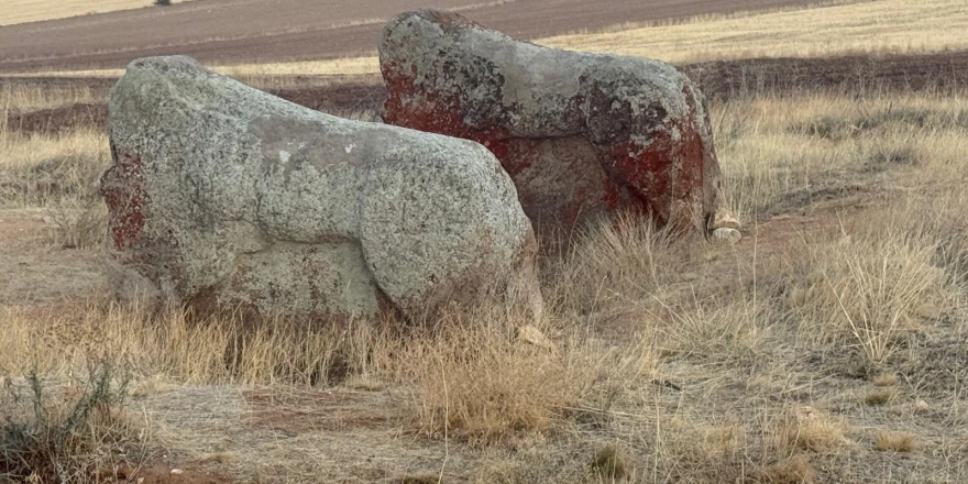 Aslantaşlar Yerinde Kalacak: Taşıma Kararı İptal Edildi