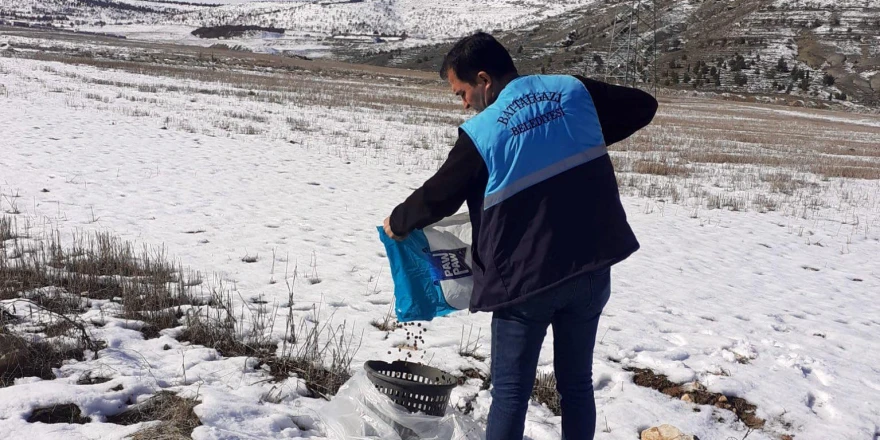 Battalgazi Belediyesi Soğukta Açlıkla Mücadele Eden Can Dostlarımızı Unutmuyor