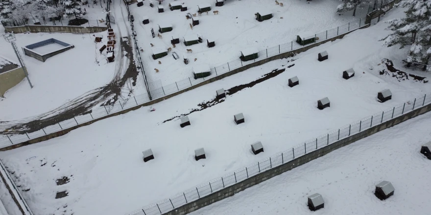 Battalgazi’de Malatya’nın İkinci Hayvan Barınağı Hizmete Başladı