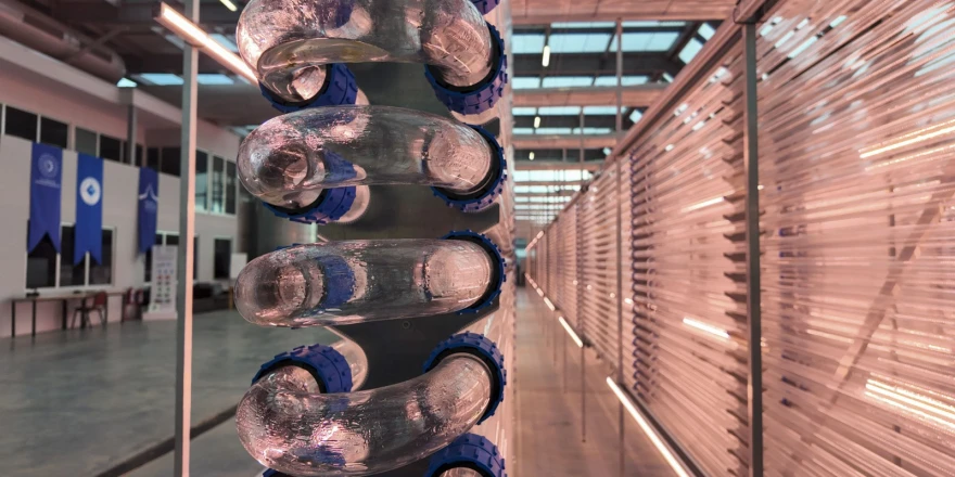 Boğaziçi Üniversitesi Küresel Bir Projeye İmza Atıyor