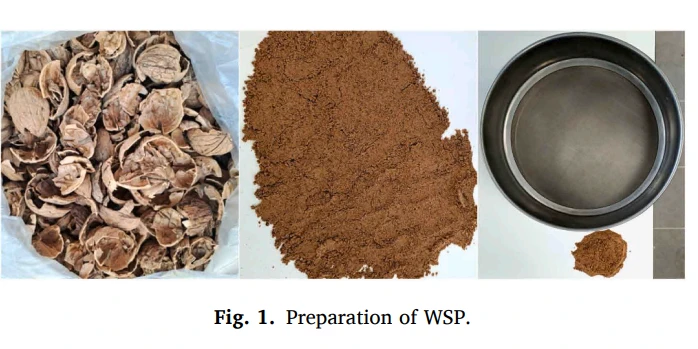 Ceviz Kabuğundan Asfalta Çevreci Çözüm: Malatya’dan Dünyaya Yenilik