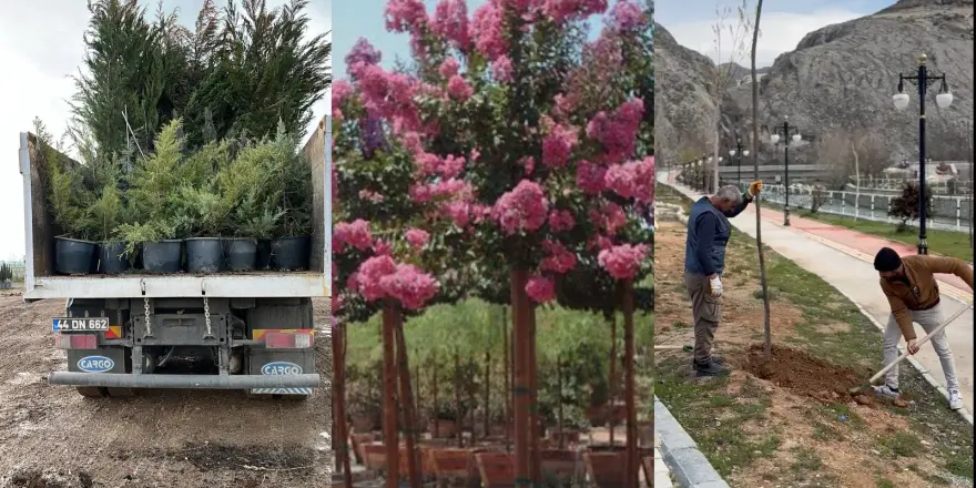 Darende’de 7 Bin 312 Fidan Toprakla Buluşturuldu