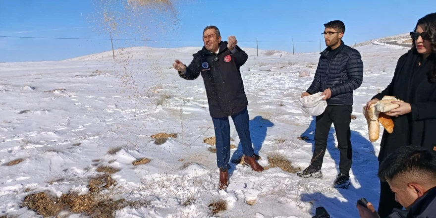 Darende’de Zorlu Kış Şartlarında Yaban Hayvanları İçin Yemleme Çalışması