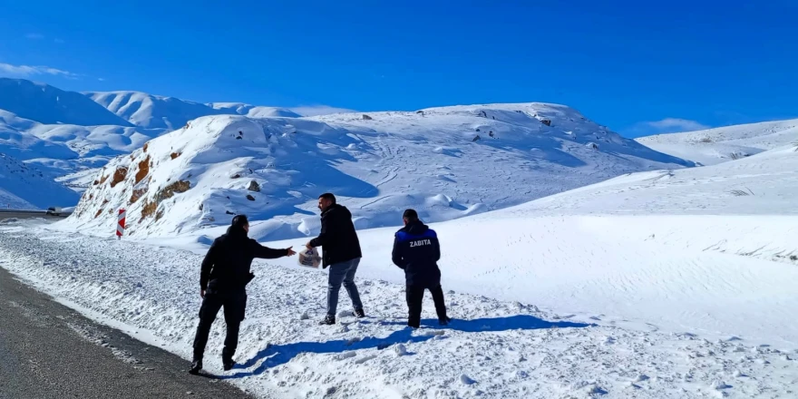 Doğanşehir’de Yaban Hayvanları İçin Örnek Duyarlılık