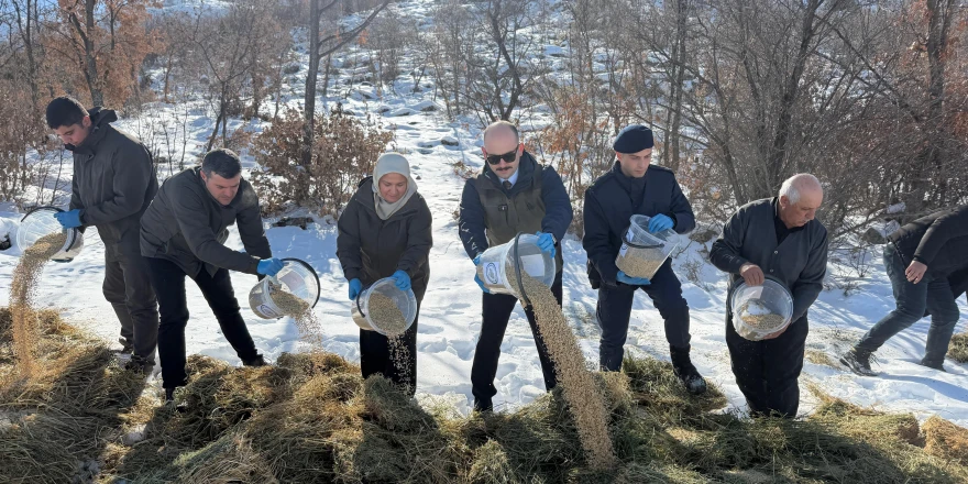 Doğanşehir'de Yaban Hayvanları İçin Doğaya Yem Bırakıldı