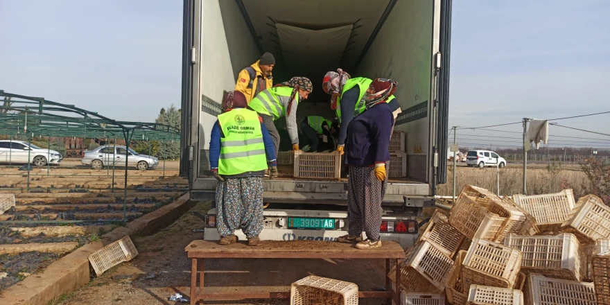 FAOTürkiye Ormancılık Ortaklık Programı