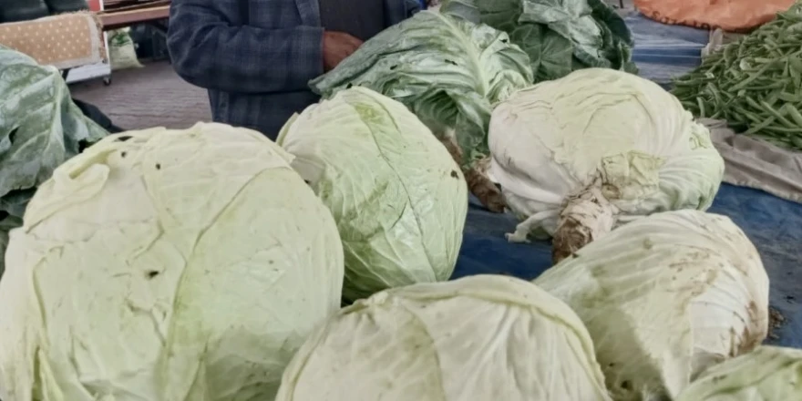 Gastromasa’da Göyyar Lahanası Rüzgarı Esti