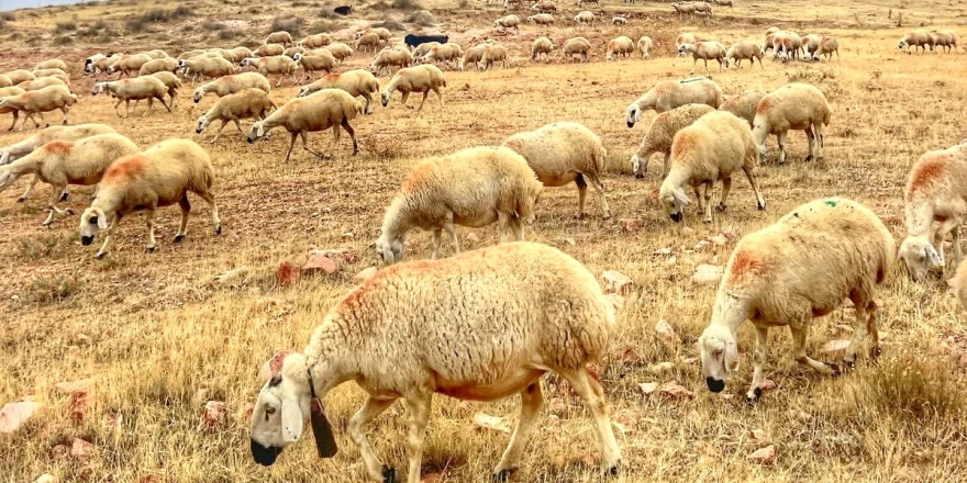 Halk Elinde Islah Projelerine 2,7 Milyar TL Destek