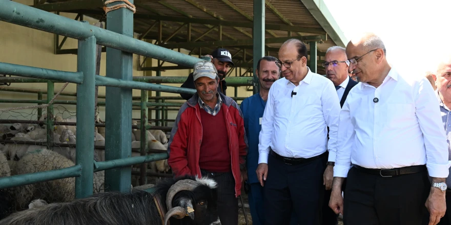 Hayvan Pazarini Ziyaret Eden Başkan Er;