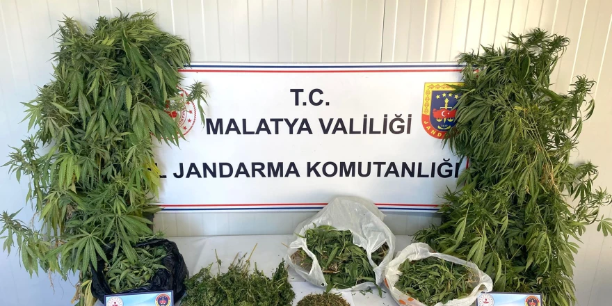 Kaçakçılık ve Narkotik Operasyonunda Çok Sayıda Suç Unsuru Ele Geçirildi