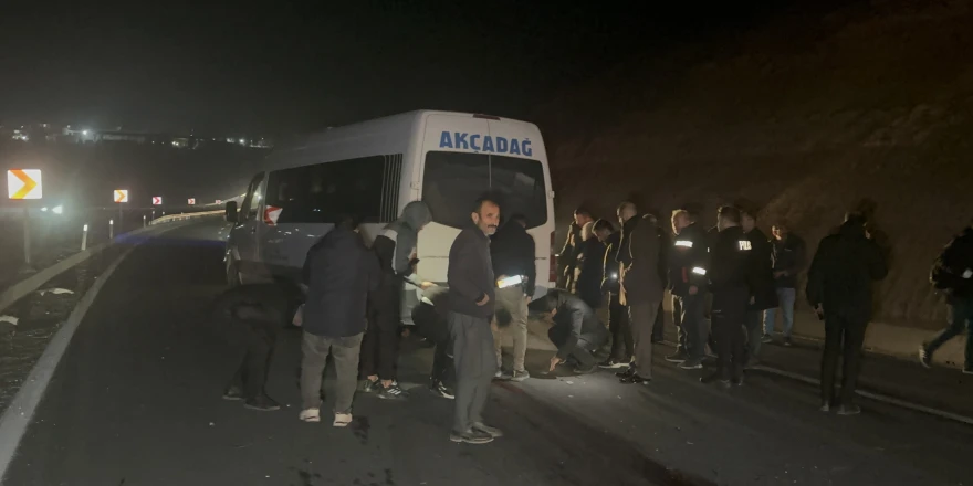 Kaçan Yarış Tayları Facia Yarattı: 8 Tay Telef Oldu