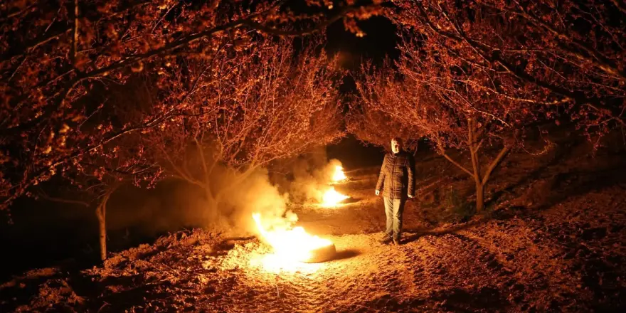 Kayısı Üreticileri Dona Karşı Sabaha Kadar Nöbette