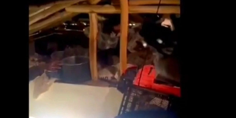 Kovancılar’da 13 Yıldır Aranan Hükümlü Gizli Bölmede Yakalandı