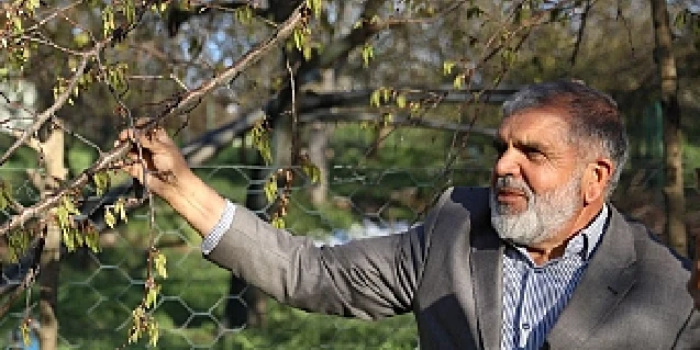 Krizi fırsata çevirmek