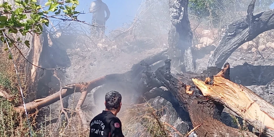 Kuluncak’ta elektrik hattı yangın paniğine neden oldu