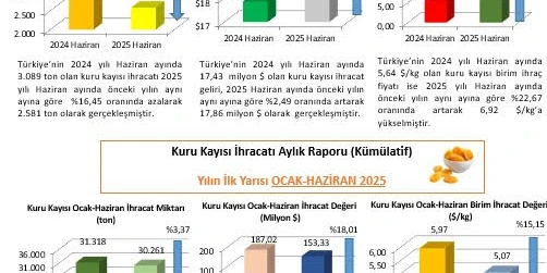 Kuru Kayısı Dış Ticaret Raporu yayımlandı