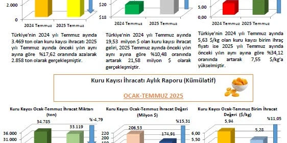 Kuru Kayısıda Miktar Arttı, Gelir Azaldı: İhracatta Fiyat Krizi!