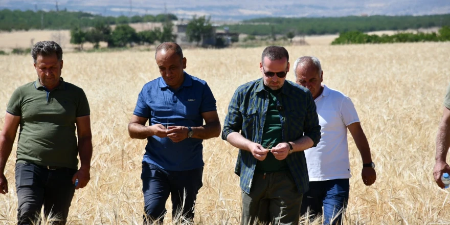 MAGİNDER Hasat Zamanında Çiftçinin Yanında: Dondan Zarar Gören Çiftçi Destek Bekliyor