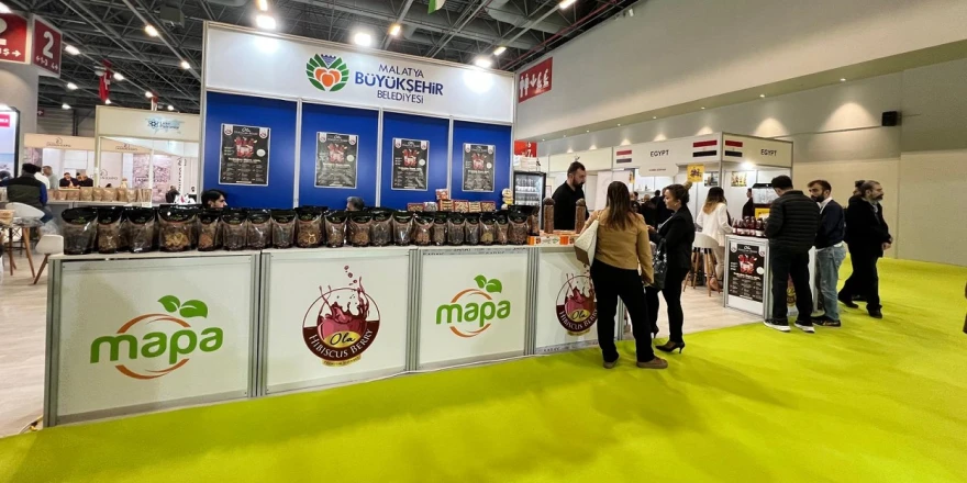 Malatya, 2025 Dünya Helal Zirvesi & İİT Helal EXPO’ya Tek Konuk İl Olarak Damga Vurdu