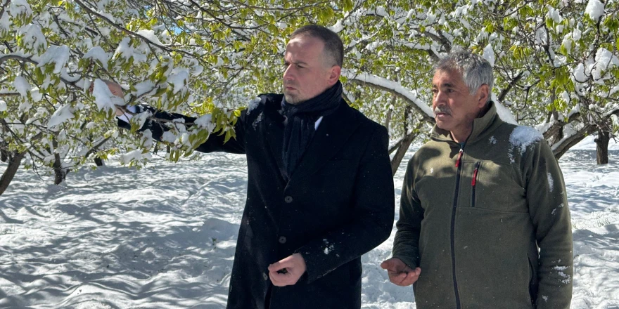 Malatya Acil Afet Bölgesi İlan Edilmelidir: Nisan Karı Çiftçilerin Umudunu Söndürdü