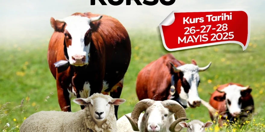 Malatya Büyükşehir Belediyesi Küçükbaş Ve Büyükbaş Kurban Kesim Kursu Açiyor