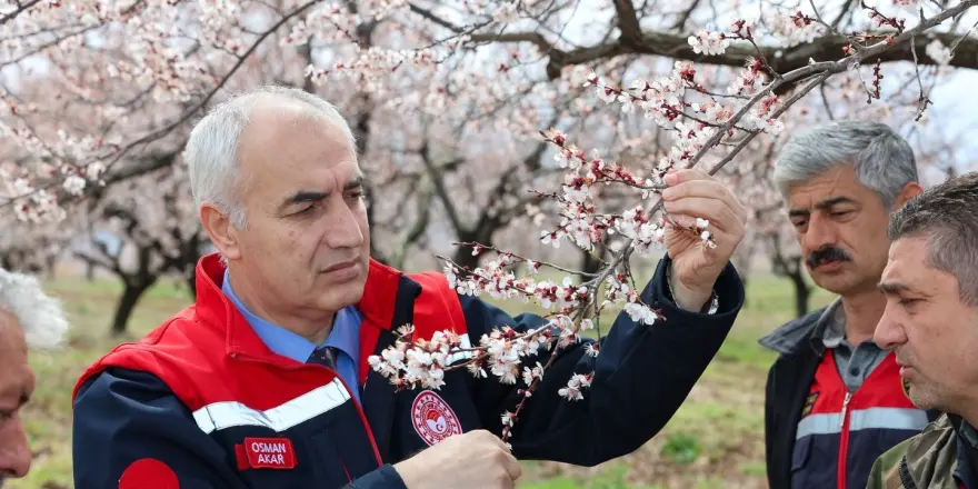Malatya Tarım Müdürlüğü Dolu Etkisini İnceledi