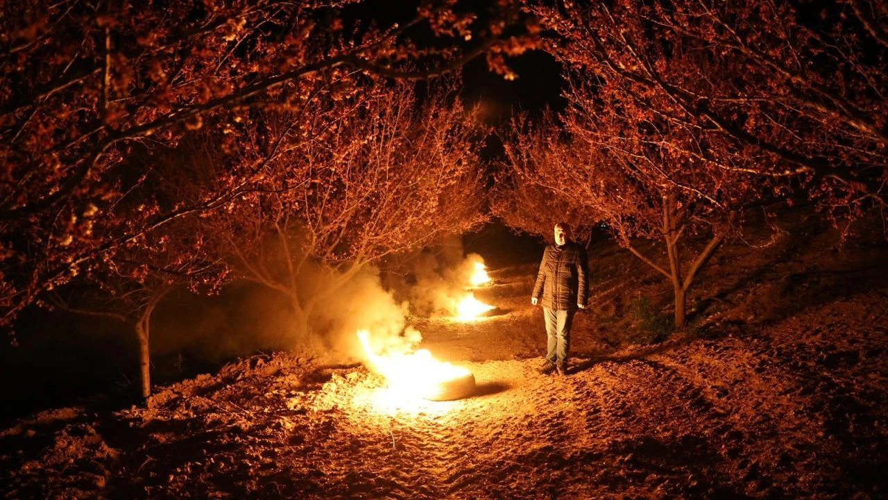 Malatya'da Kayısı da Zirai Don Riski Sürüyor mu?