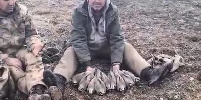 Malatya’da Keklik Popülasyonu İçin Saha Çalışması Yapıldı