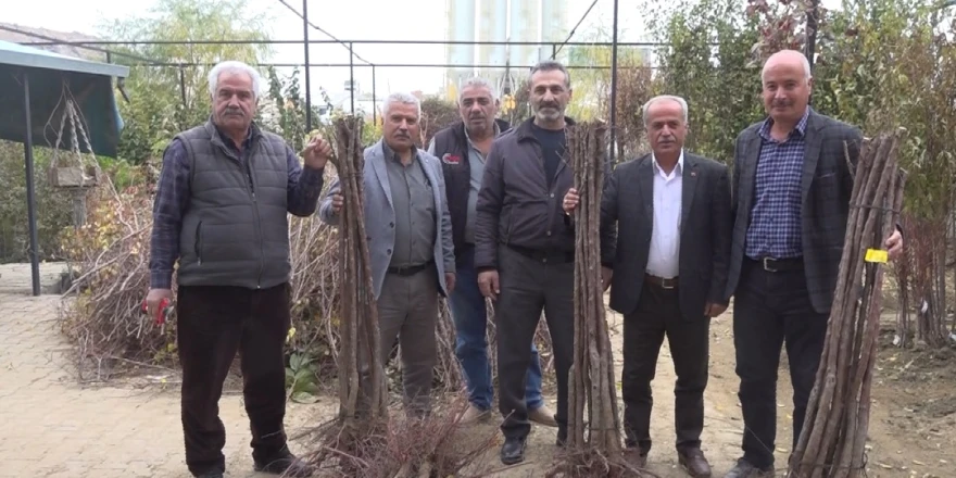 Malatya’da Meyve Fidanı Satış Sezonu Açıldı