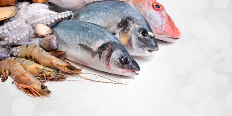 Malatya’da Su Ürünleri Av Yasağı Başlıyor