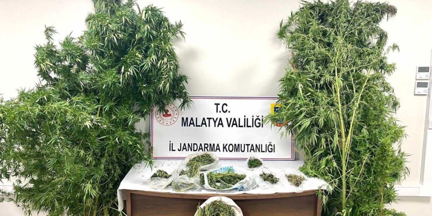 Malatya’da Uyuşturucu Operasyonlarında 16 Şüpheli Tutuklandı