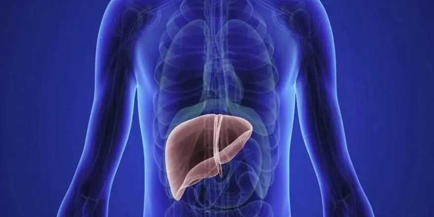 Karaciğere Ciddi Hasar Veren 5 Hata!