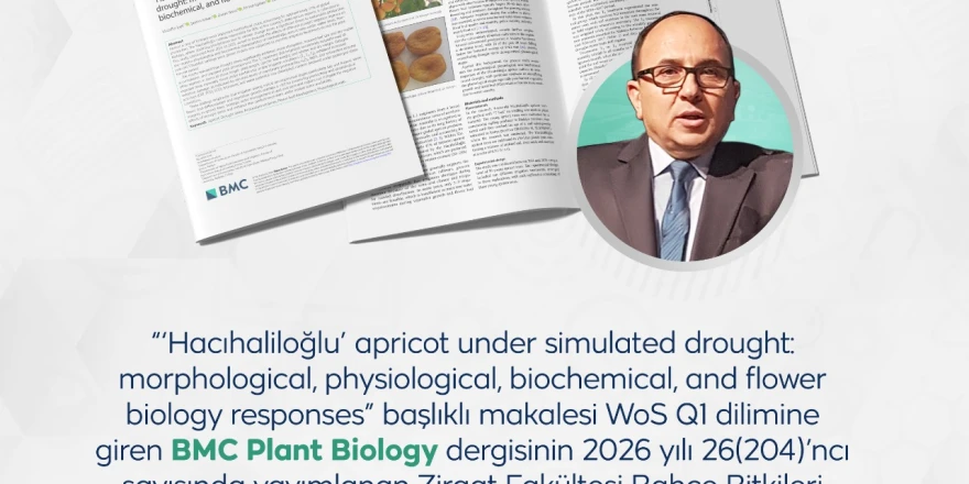 Kayısıda Bilimsel Devrim: MTÜ’den Dünya Çapında Akademik Başarı