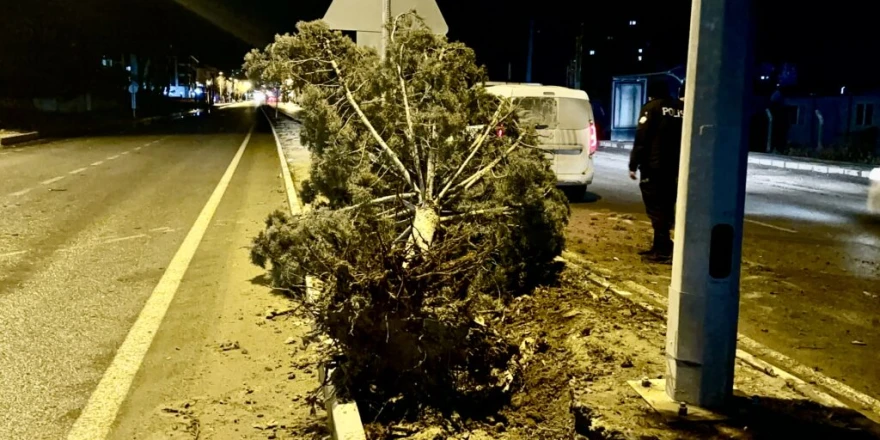 Malatya’da Fırtınalı Gece Hasara Yol Açtı