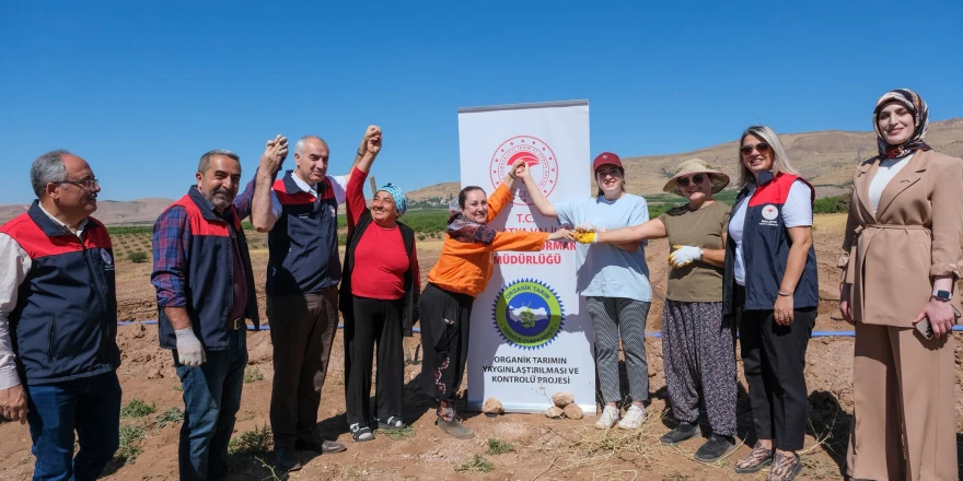 Öğretmenliği bırakıp köyünde organik üretime başladı