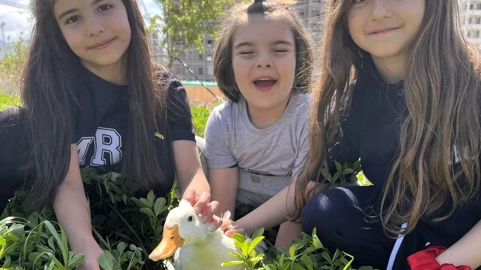 Okulda Şiddete Karşı Örnek Model: Mercan Koleji’nde Sevgi Temelli Eğitim