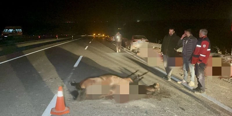 Sultansuyu’nda Skandalın Bedeli: Müdür Ve 2 İşçi Görevden Alındı