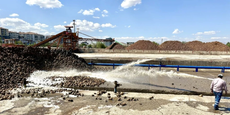 Türkiye Şeker Fabrikaları, 2025-2026 Üretim Yılı Pancar Alım Fiyatını Açıkladı