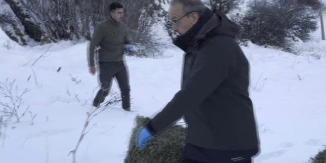Vali Seddar Yavuz: Kış Şartlarında Zorlanan Yaban Hayvanları İçin Sahadayız