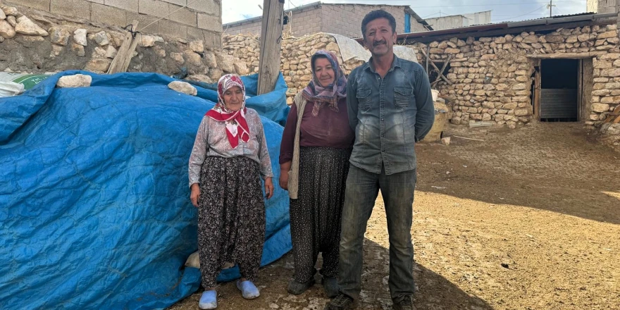 Yem Fiyatları Uçtu, Üretici Zor Durumda