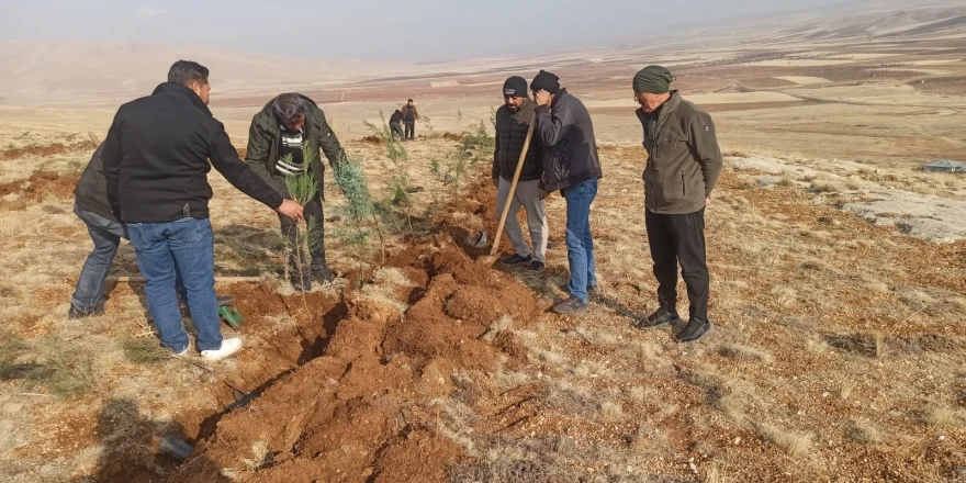 Yeniköy’de Öğretmen, Öğrenci ve Mahalleli Doğa İçin Seferber Oldu
