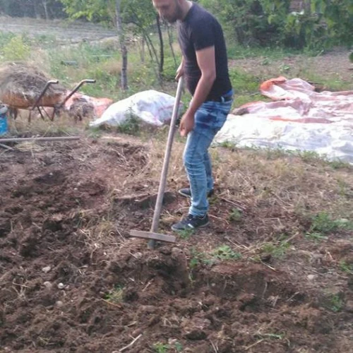 Selçuk Dönmez / 